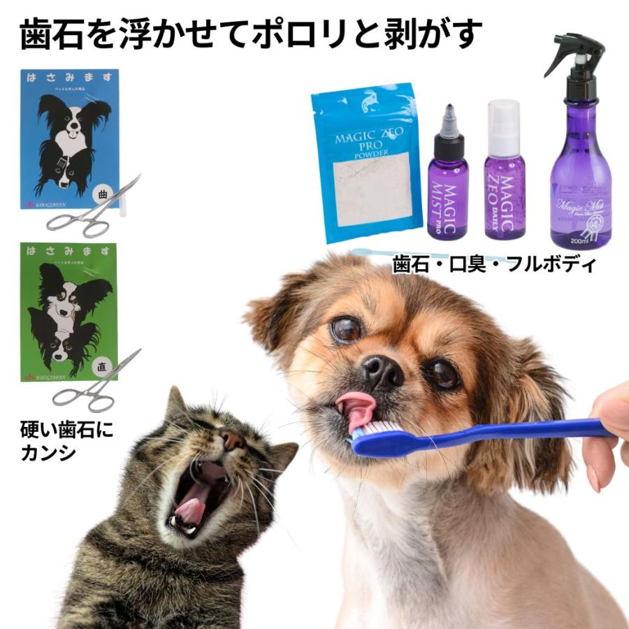 マジックゼオ プロ　デイリー デイリープラス　マジックミスト200ml 4点 犬 しっかり歯磨き 歯石 歯垢 口臭 予防 黄ばみ マジックゼオ
