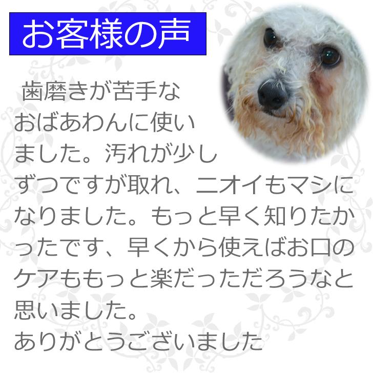 犬 プレゼント 歯石除去 マジックゼオ 最強3点セット プロ マジックミスト デイリー 360度歯ブラシ オクチブラシ