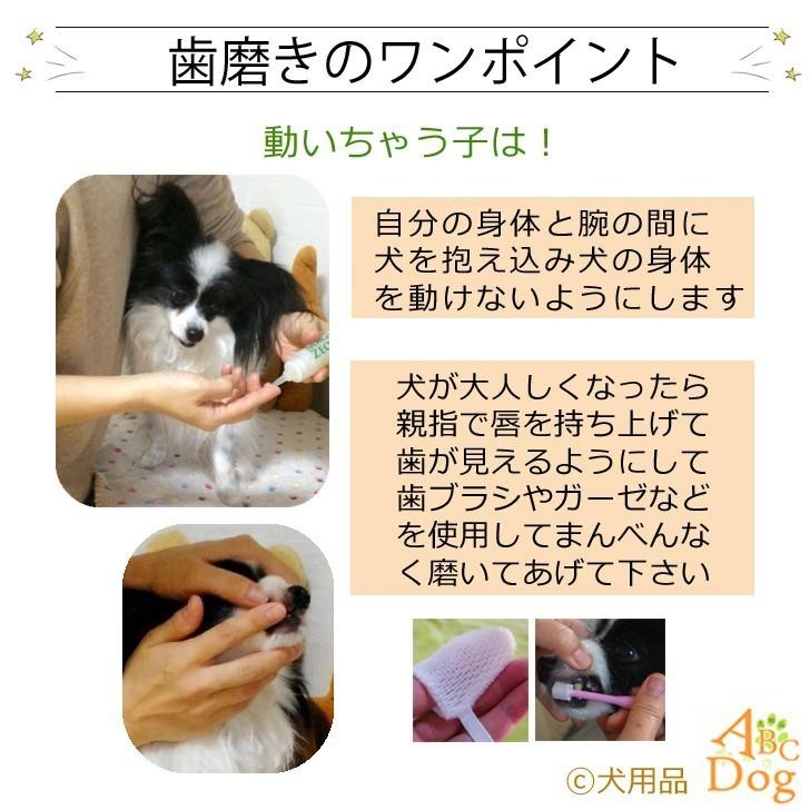 犬 歯磨き 4点セット マジックゼオ プロ デイリー マジックミスト 360度歯ブラシ 歯石 歯垢 口臭 予防 ゼオライト ペースト ジェル ミスト_18