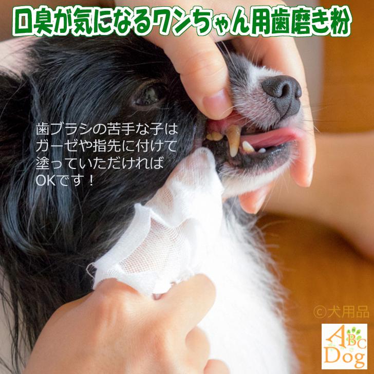 犬 歯石除去 マジックゼオ デイリー 業務用 300cc 犬 猫 歯石 歯垢 除去 歯磨き粉 ジェル状 簡単 口臭 歯周病予防 歯周病菌 デンタルケア 国産無添加 犬用品abcdog 通販 Yahoo ショッピング