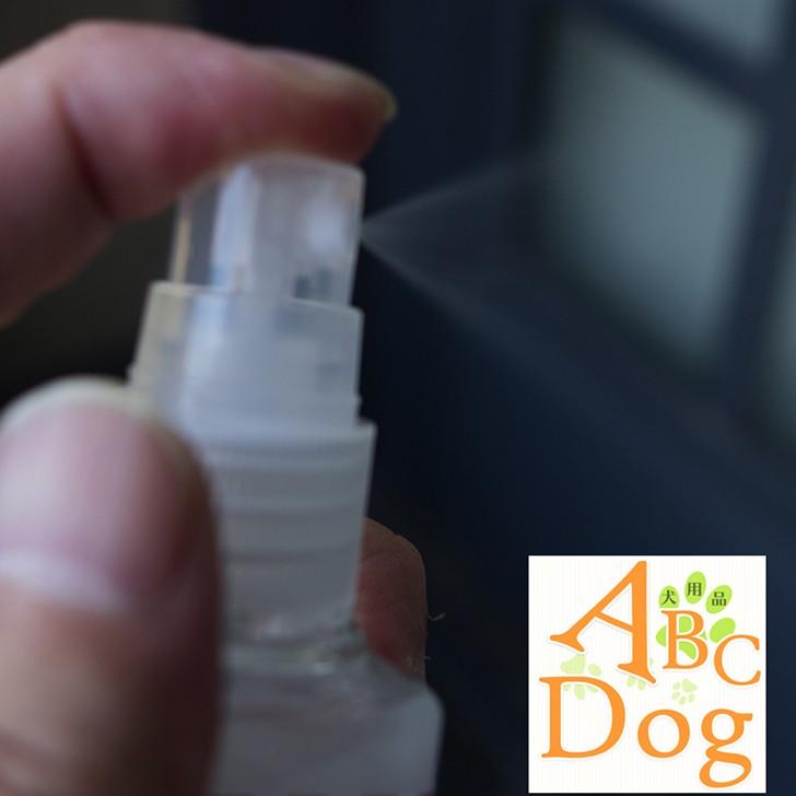 DVD 市川雷蔵 山本富士子 中村玉緒 本郷功次郎 京 マチ子