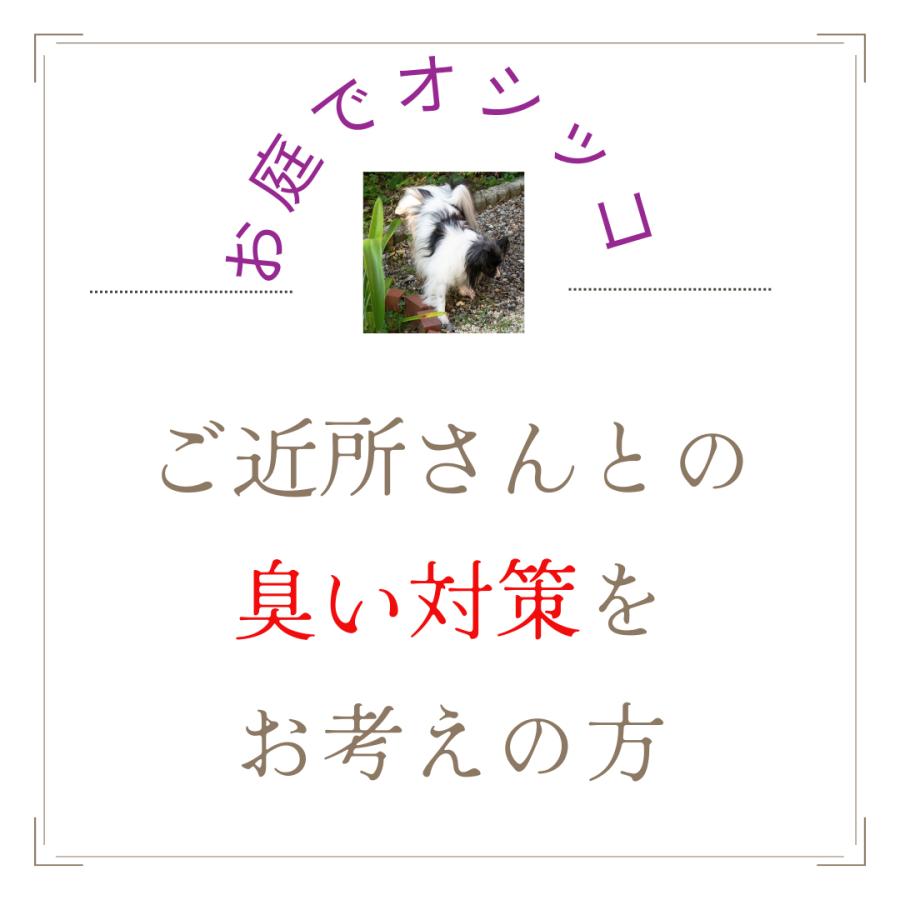 ペット用品 犬 猫 おしっこ臭 砂 ゼオライトアルファ MP サンドタイプ 5kg 本州四国のみ発送可能｜abcdogshop｜03