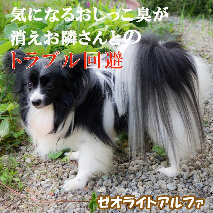 ペット用品 犬 猫 おしっこ臭 砂 ゼオライトアルファ MP サンドタイプ 5kg 本州四国のみ発送可能｜abcdogshop｜11