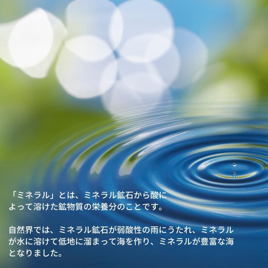 ウォーターサーバー ミネラル イオン化 卓上 家庭用 水災害時 浄水