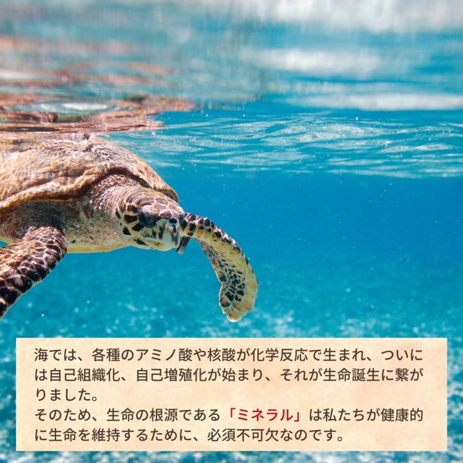 ウォーターサーバー ミネラル イオン化 卓上 家庭用 水災害時 浄水