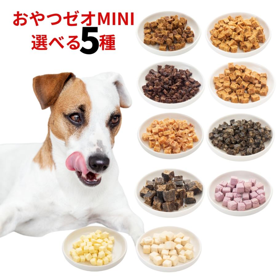 aiai　犬のおやつ 　5点セ 犬 おやつ 無添加 犬用ジャーキー おやつゼオ mini 5種セット ドライ