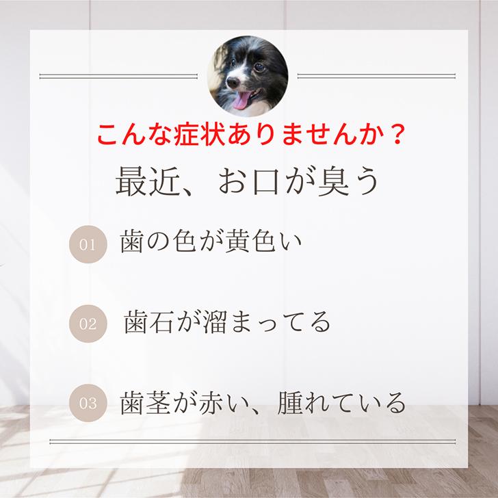犬 歯石取り 歯石除去 マジックゼオプロ パウダーのみ 10g 歯みがき粉 歯石取り 猫  歯ブラシ 使用時にブラッシングを行う歯みがき類 | EDOG JAPAN | 01
