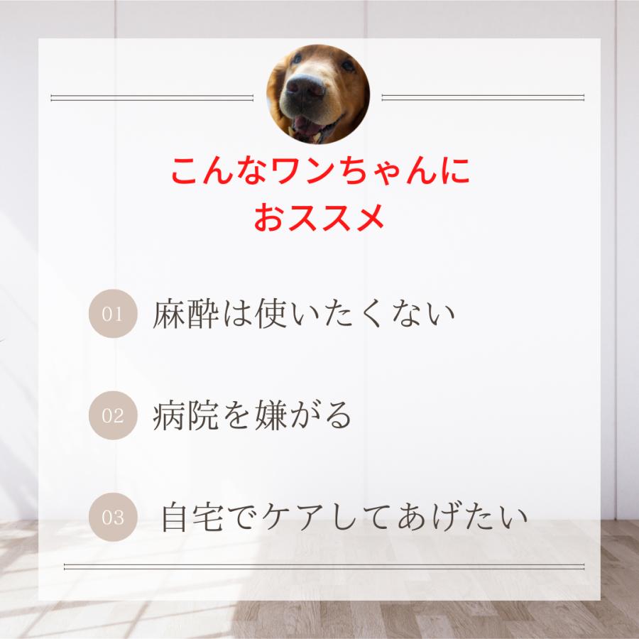 犬 歯石取り 歯石除去 マジックゼオプロ パウダーのみ 10g 歯みがき粉 歯石取り 猫  歯ブラシ 使用時にブラッシングを行う歯みがき類 | EDOG JAPAN | 02