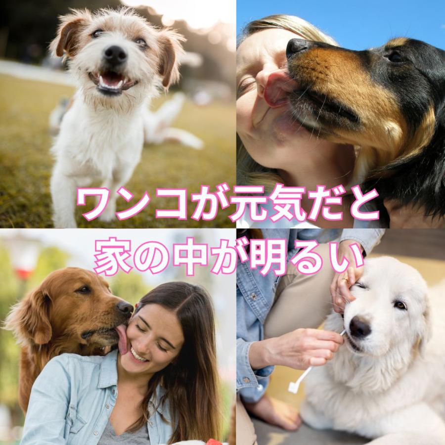犬 歯石取り 歯石除去 マジックゼオプロ パウダーのみ 10g 歯みがき粉 歯石取り 猫  歯ブラシ 使用時にブラッシングを行う歯みがき類 | EDOG JAPAN | 03