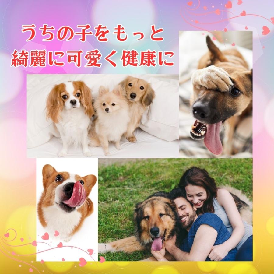 犬 歯石取り 歯石除去 マジックゼオプロ パウダーのみ 10g 歯みがき粉 歯石取り 猫  歯ブラシ 使用時にブラッシングを行う歯みがき類 | EDOG JAPAN | 07