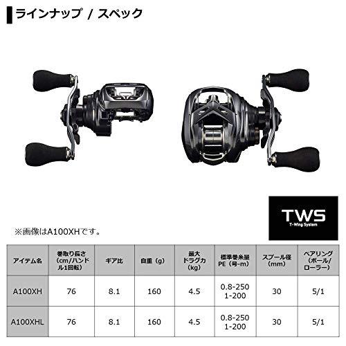 ダイワ(DAIWA) 両軸リール 20 ADMIRA A 100XHL(2020モデル) 
