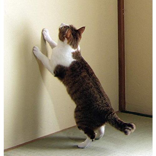 酒井産業 木かべ(6×30)30枚×2 DIY 手軽 リフォーム 壁 木かべ