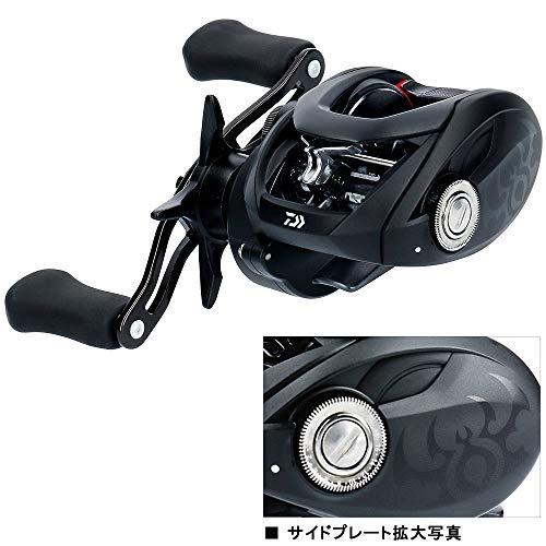 ダイワ(DAIWA) ベイトリール 19 タトゥーラ TW 100XH(2019モデル) 