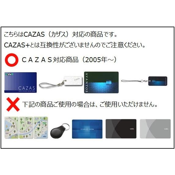 LIXIL Z-012-DVBA トステム 玄関ドア CAZAS タグキー アヴァント