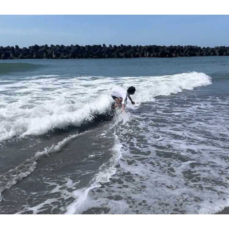 ウッド スキムボード RAMMBER SKIM BOARD/ WOOD PRO MODEL ウッド スキムボード RAMMBER SKIM BOARD/ WOOD PRO MODEL
