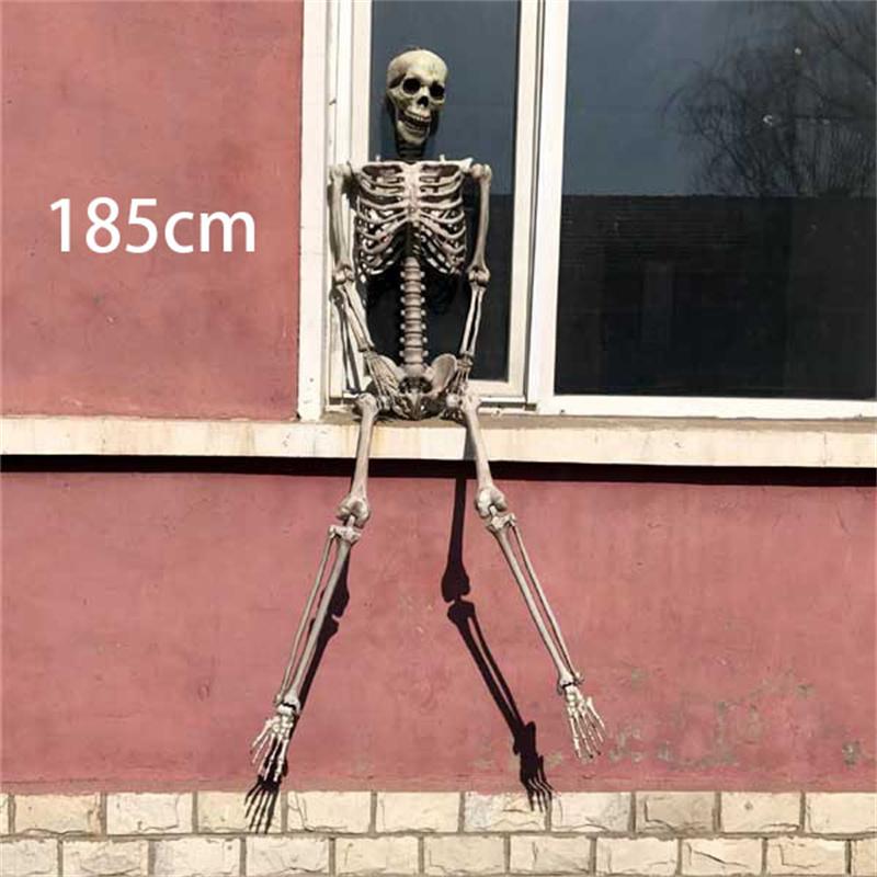 ディスプレイガイコツ 【170cm】 スケルトン ドクロ 怖い ホラー ディスプレイガイコツ 【170cm】 スケルトン ドクロ 怖い ホラー
