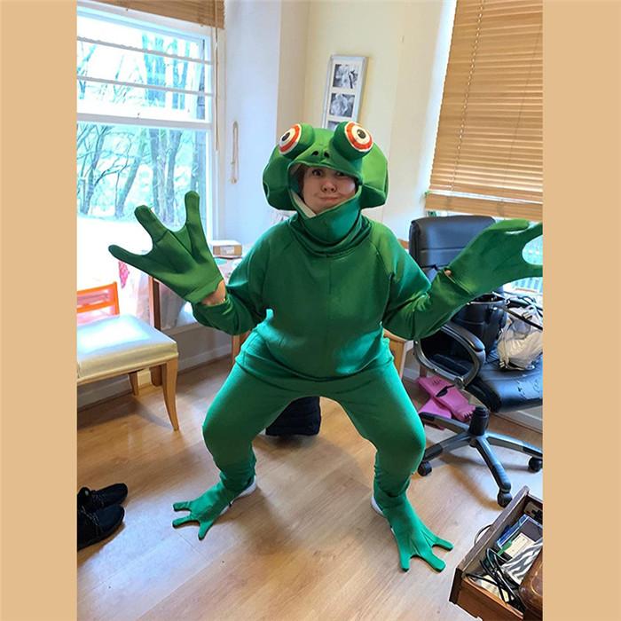 コスプレ ハロウィン 仮装 かえる 王さま きぐるみ 衣装 コスチューム