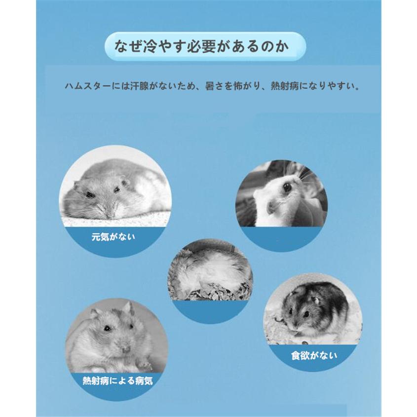 ハムスター クーラー冷却ハウス クーラー 小屋 夏 暑さ対策 ハムスター クーラー冷却ハウス クーラー 小屋 夏 暑さ対策