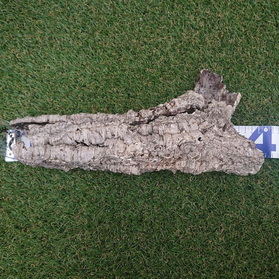 一点物 コルク樹皮 チューブ（筒状） ポルトガル産 天然コルク 全長約40cm 外径約8cm 爬虫類シェルター テラリウム レイアウト No.001 | 