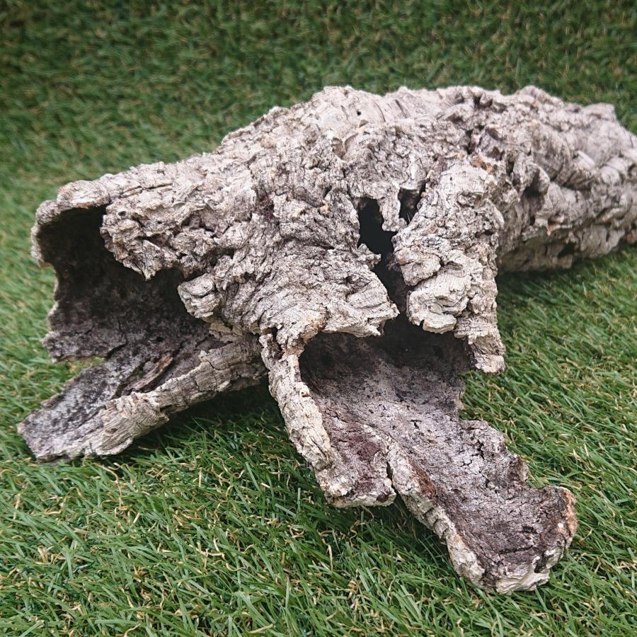 一点物 コルク樹皮 チューブ（筒状） ポルトガル産 天然コルク 全長約40cm 外径約8cm 爬虫類シェルター テラリウム レイアウト No.001 |  | 01