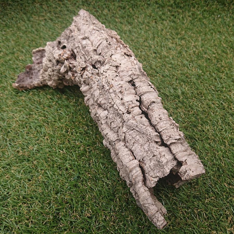 一点物 コルク樹皮 チューブ（筒状） ポルトガル産 天然コルク 全長約40cm 外径約8cm 爬虫類シェルター テラリウム レイアウト No.001 |  | 02