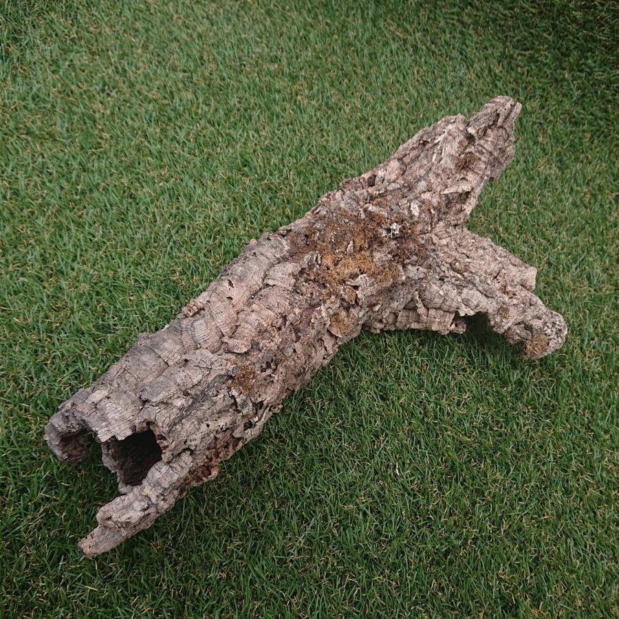 一点物 コルク樹皮 チューブ（筒状） ポルトガル産 天然コルク 全長約40cm 外径約8cm 爬虫類シェルター テラリウム レイアウト No.001 |  | 03