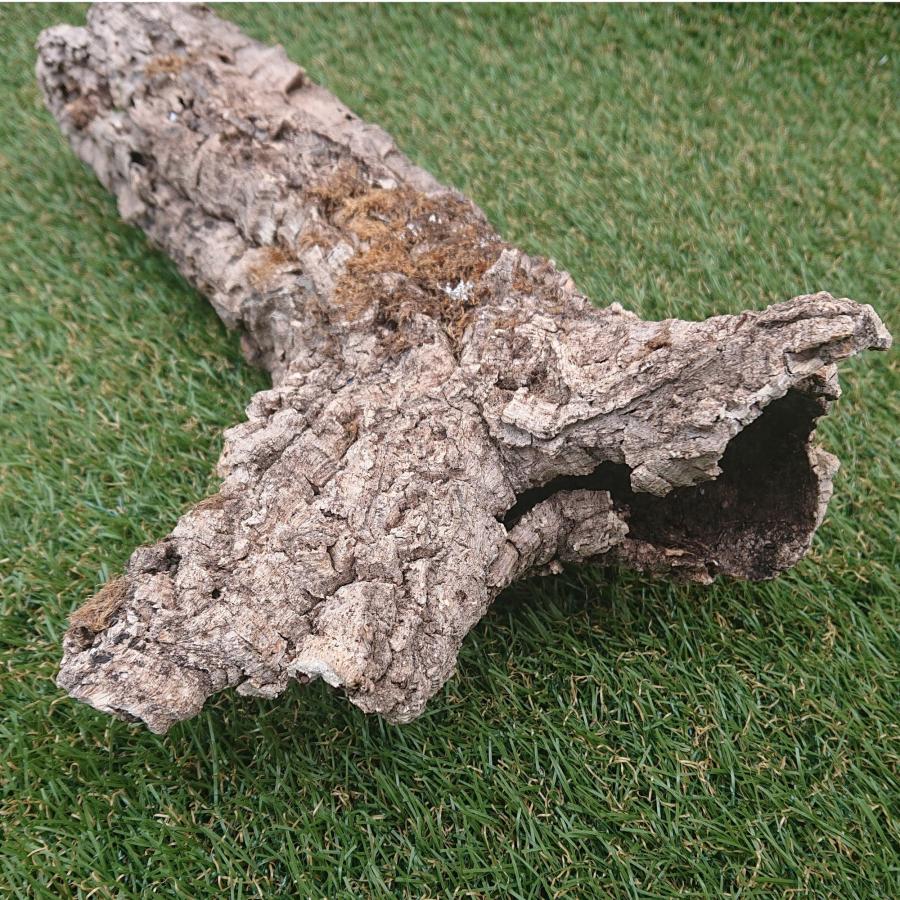 一点物 コルク樹皮 チューブ（筒状） ポルトガル産 天然コルク 全長約40cm 外径約8cm 爬虫類シェルター テラリウム レイアウト No.001 |  | 04