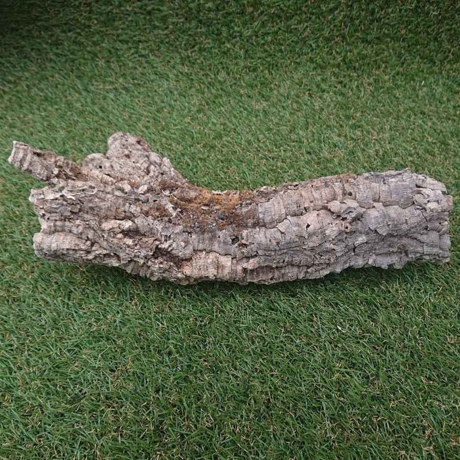 一点物 コルク樹皮 チューブ（筒状） ポルトガル産 天然コルク 全長約40cm 外径約8cm 爬虫類シェルター テラリウム レイアウト No.001 |  | 07