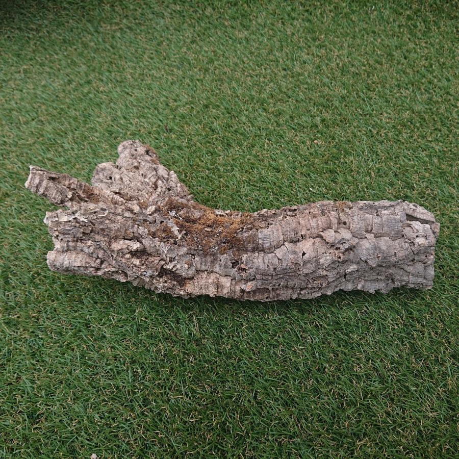 一点物 コルク樹皮 チューブ（筒状） ポルトガル産 天然コルク 全長約40cm 外径約8cm 爬虫類シェルター テラリウム レイアウト No.001 |  | 08