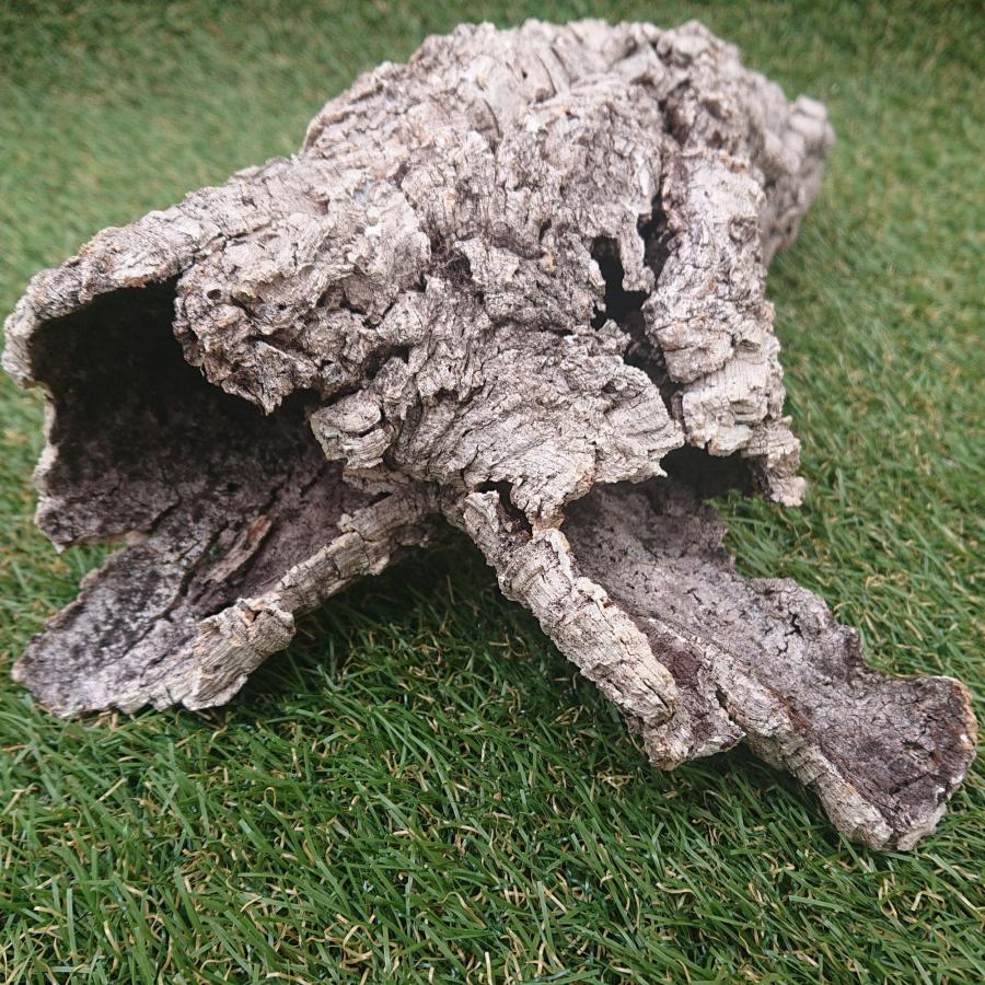 一点物 コルク樹皮 チューブ（筒状） ポルトガル産 天然コルク 全長約40cm 外径約8cm 爬虫類シェルター テラリウム レイアウト No.001 |  | 09