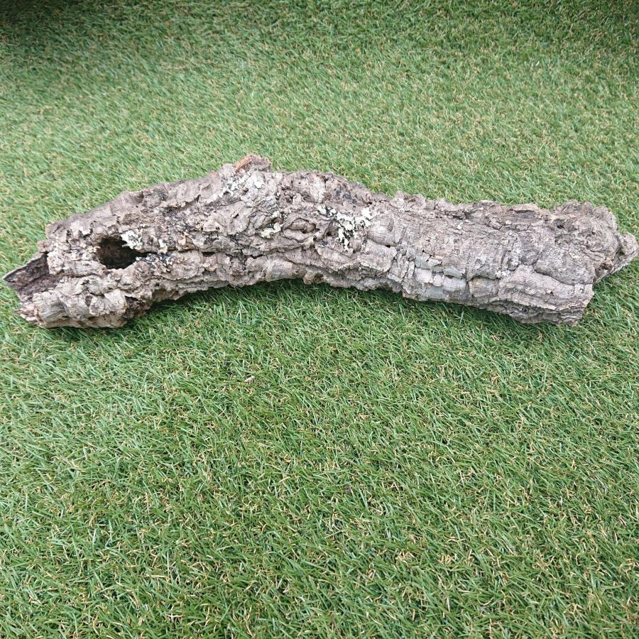 一点物 コルク樹皮 チューブ（筒状） ポルトガル産 天然コルク 全長約50cm 外径約8cm 爬虫類シェルター テラリウム レイアウト No.002 |  | 10