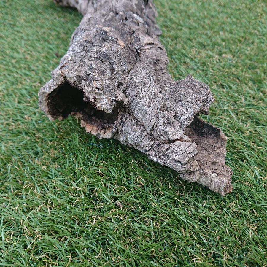 一点物 コルク樹皮 チューブ（筒状） ポルトガル産 天然コルク 全長約50cm 外径約8cm 爬虫類シェルター テラリウム レイアウト No.002 |  | 01