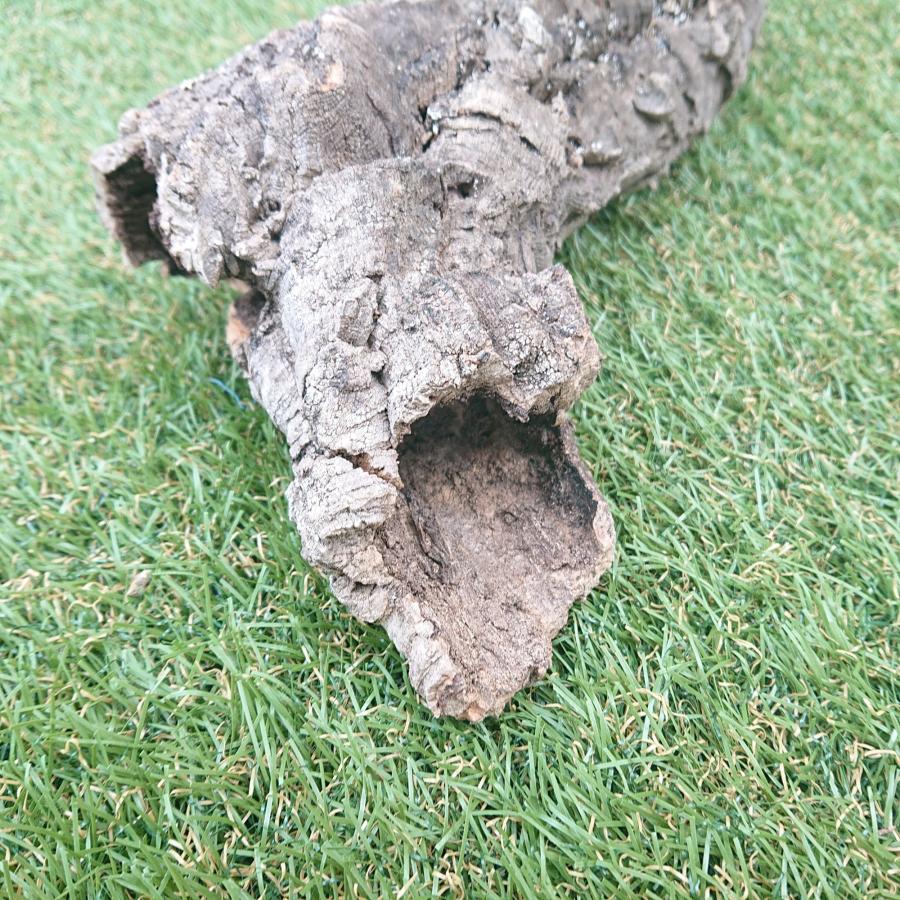 一点物 コルク樹皮 チューブ（筒状） ポルトガル産 天然コルク 全長約50cm 外径約8cm 爬虫類シェルター テラリウム レイアウト No.002 |  | 02