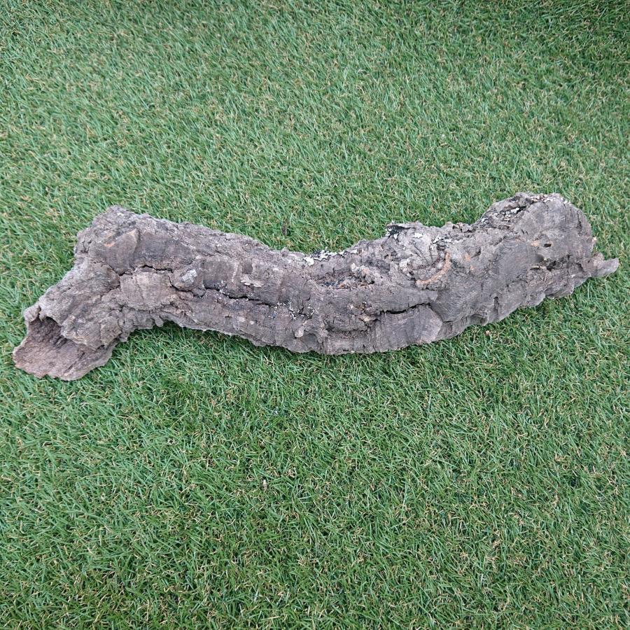 一点物 コルク樹皮 チューブ（筒状） ポルトガル産 天然コルク 全長約50cm 外径約8cm 爬虫類シェルター テラリウム レイアウト No.002 |  | 03