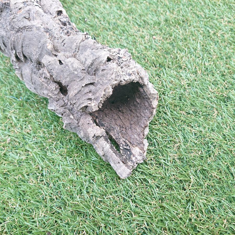 一点物 コルク樹皮 チューブ（筒状） ポルトガル産 天然コルク 全長約50cm 外径約8cm 爬虫類シェルター テラリウム レイアウト No.002 |  | 04