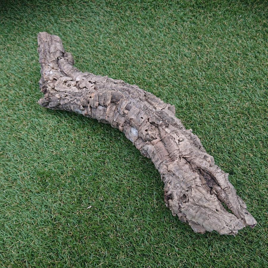 一点物 コルク樹皮 チューブ（筒状） ポルトガル産 天然コルク 全長約50cm 外径約8cm 爬虫類シェルター テラリウム レイアウト No.002 |  | 07