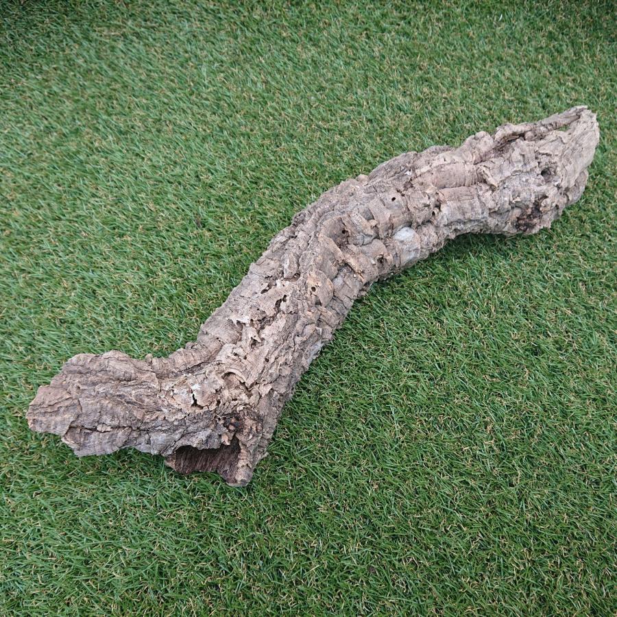 一点物 コルク樹皮 チューブ（筒状） ポルトガル産 天然コルク 全長約50cm 外径約8cm 爬虫類シェルター テラリウム レイアウト No.002 |  | 08