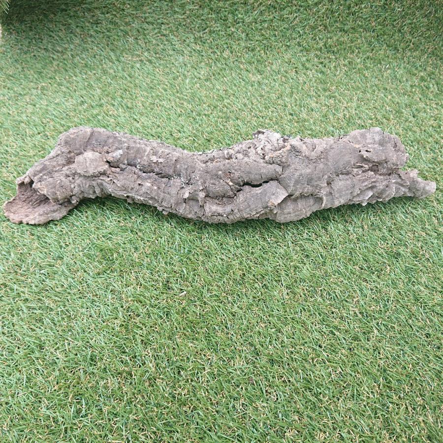 一点物 コルク樹皮 チューブ（筒状） ポルトガル産 天然コルク 全長約50cm 外径約8cm 爬虫類シェルター テラリウム レイアウト No.002 |  | 09