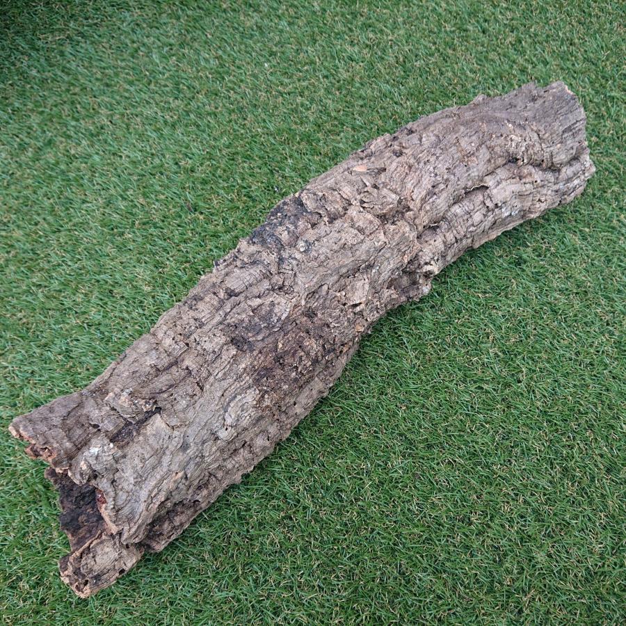 一点物 コルク樹皮 チューブ（筒状） ポルトガル産 天然コルク 全長約55cm 外径約12cm 爬虫類シェルター テラリウム レイアウト No.003 |  | 01