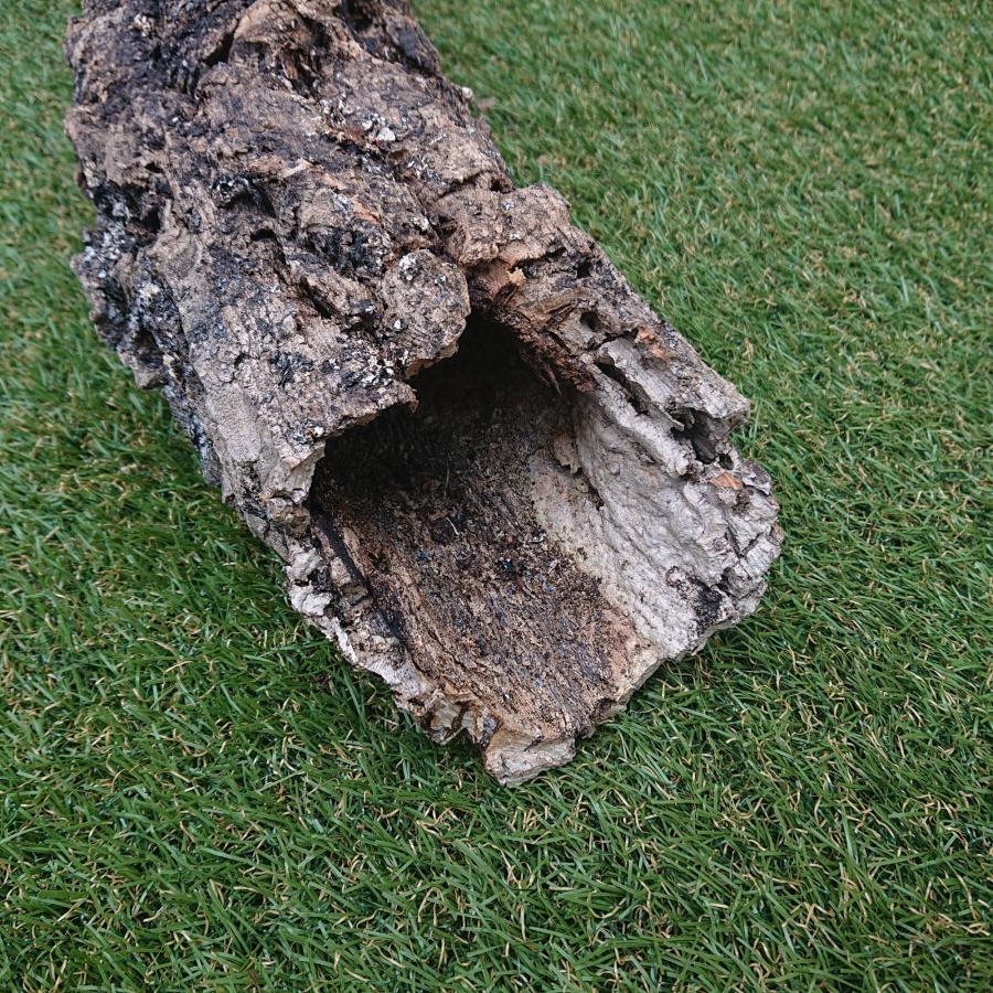 一点物 コルク樹皮 チューブ（筒状） ポルトガル産 天然コルク 全長約55cm 外径約12cm 爬虫類シェルター テラリウム レイアウト No.003 |  | 03