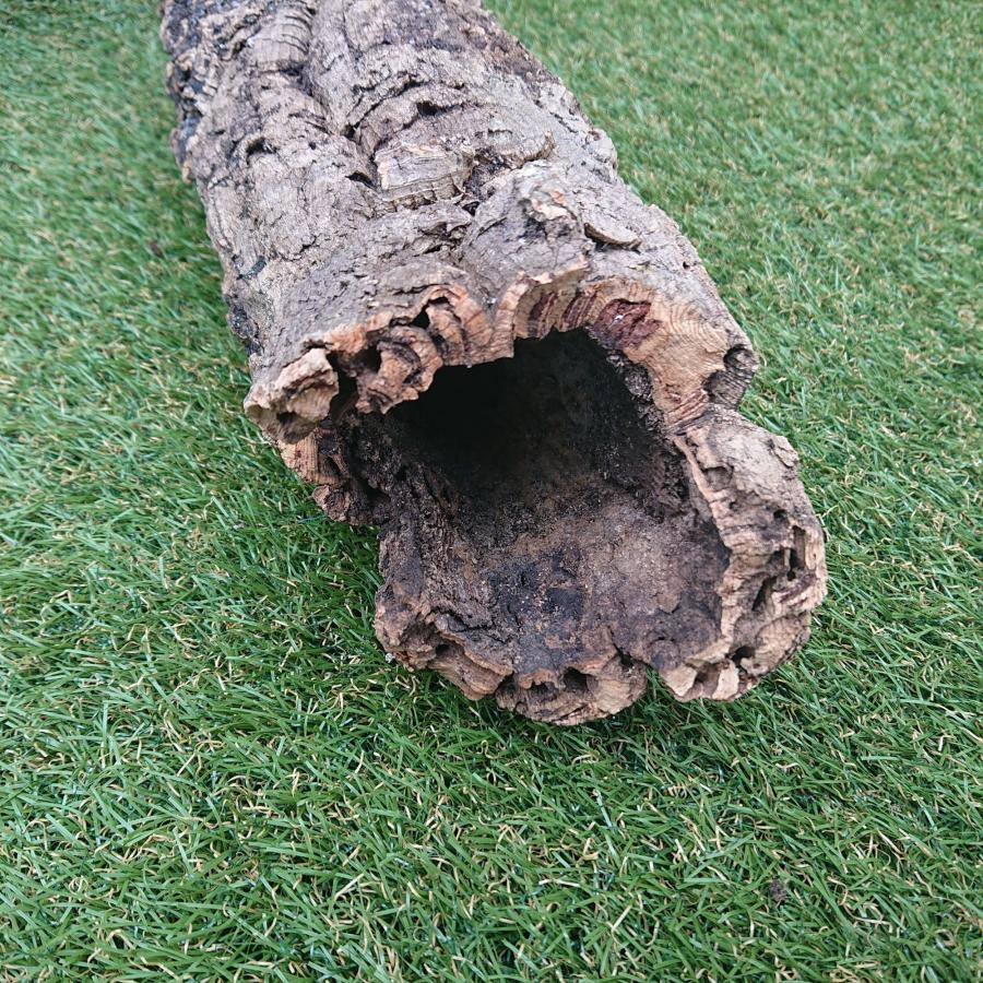 一点物 コルク樹皮 チューブ（筒状） ポルトガル産 天然コルク 全長約55cm 外径約12cm 爬虫類シェルター テラリウム レイアウト No.003 |  | 04