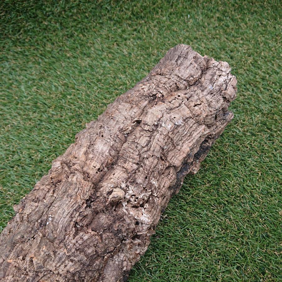 一点物 コルク樹皮 チューブ（筒状） ポルトガル産 天然コルク 全長約55cm 外径約12cm 爬虫類シェルター テラリウム レイアウト No.003 |  | 05