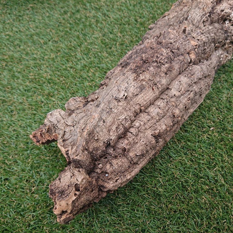 一点物 コルク樹皮 チューブ（筒状） ポルトガル産 天然コルク 全長約55cm 外径約12cm 爬虫類シェルター テラリウム レイアウト No.003 |  | 06