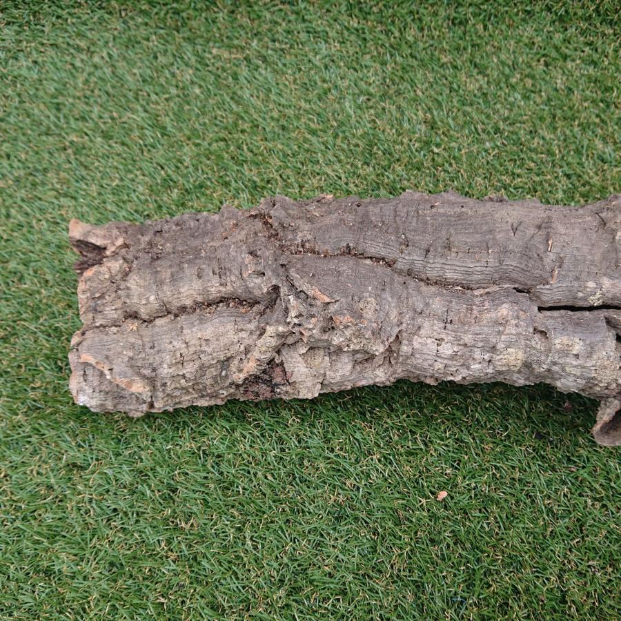一点物 コルク樹皮 チューブ（筒状） ポルトガル産 天然コルク 全長約60cm 外径約11cm 爬虫類シェルター テラリウム レイアウト No.004 |  | 16