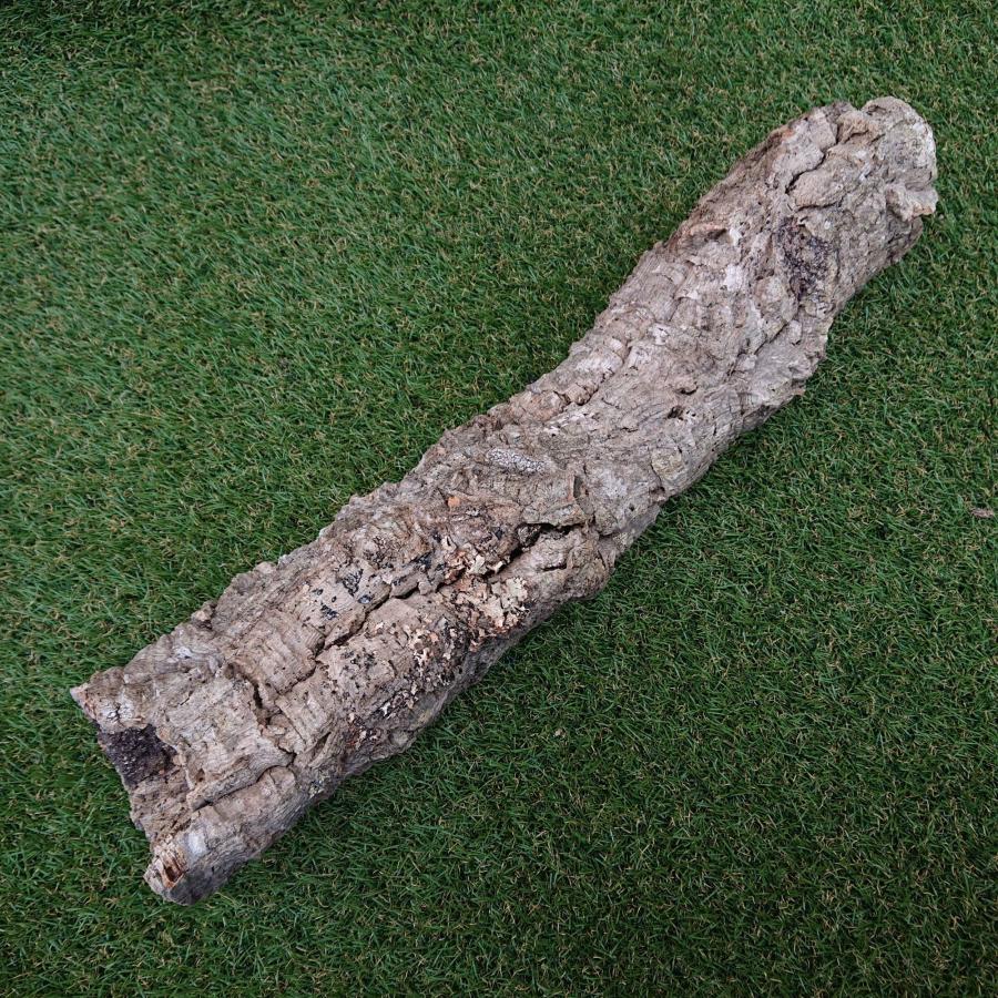 一点物 コルク樹皮 チューブ（筒状） ポルトガル産 天然コルク 全長約60cm 外径約11cm 爬虫類シェルター テラリウム レイアウト No.004 |  | 01