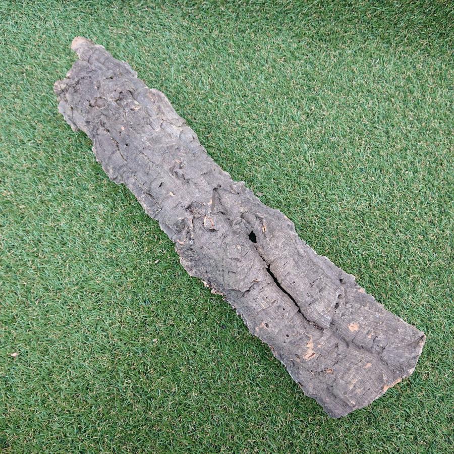 一点物 コルク樹皮 チューブ（筒状） ポルトガル産 天然コルク 全長約60cm 外径約11cm 爬虫類シェルター テラリウム レイアウト No.004 |  | 02