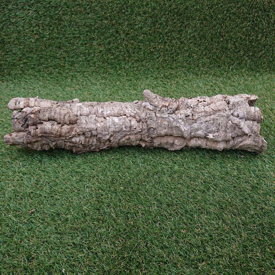 一点物 コルク樹皮 チューブ（筒状） ポルトガル産 天然コルク 全長約60cm 外径約11cm 爬虫類シェルター テラリウム レイアウト No.004 |  | 03