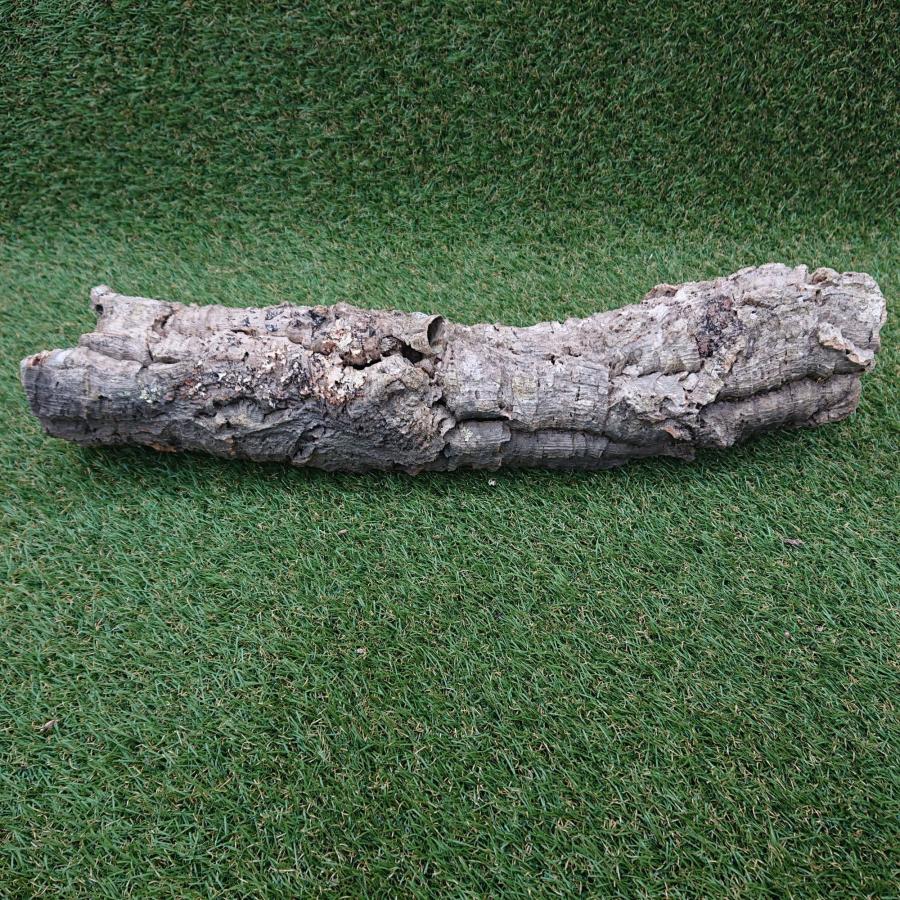 一点物 コルク樹皮 チューブ（筒状） ポルトガル産 天然コルク 全長約60cm 外径約11cm 爬虫類シェルター テラリウム レイアウト No.004 |  | 04
