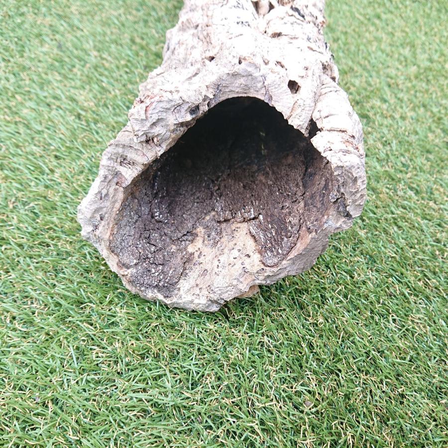 一点物 コルク樹皮 チューブ（筒状） ポルトガル産 天然コルク 全長約60cm 外径約11cm 爬虫類シェルター テラリウム レイアウト No.004 |  | 07