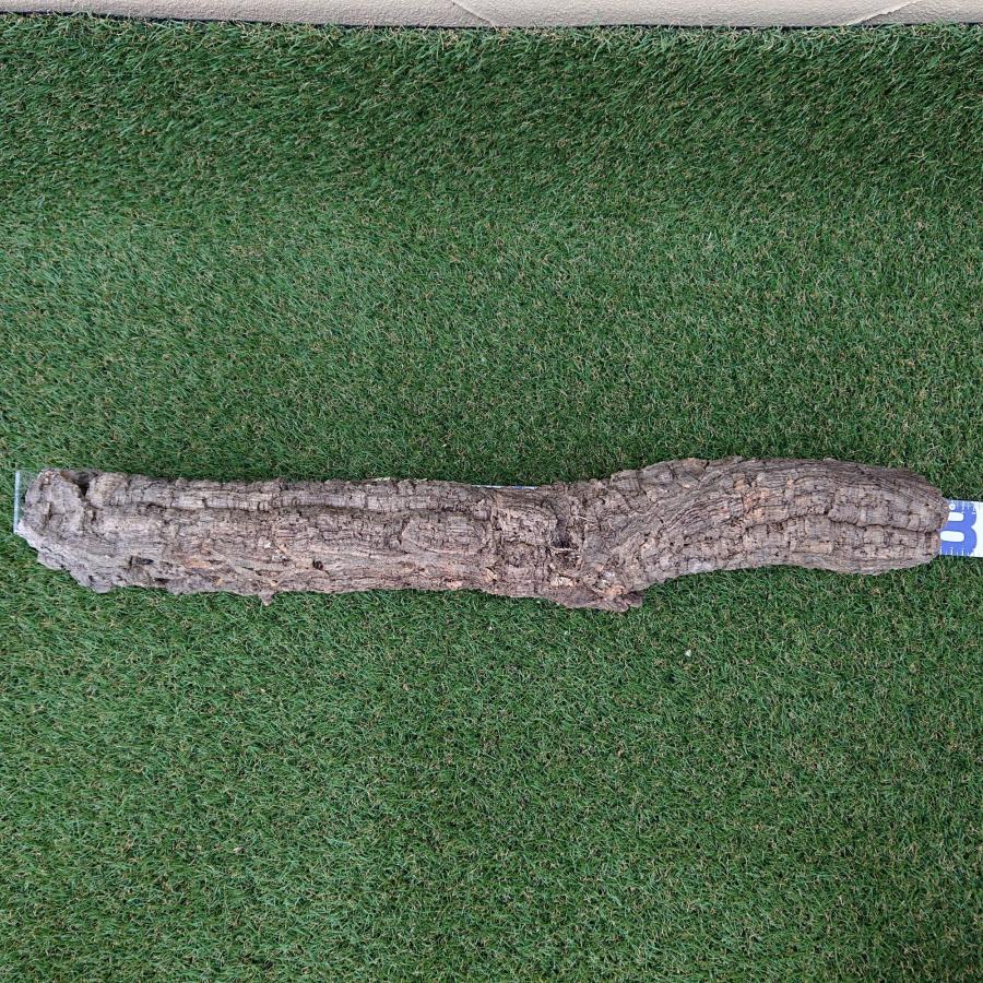一点物 コルク樹皮 チューブ（筒状） ポルトガル産 天然コルク 全長約80cm 外径約9cm 爬虫類シェルター テラリウム レイアウト No.008 | 